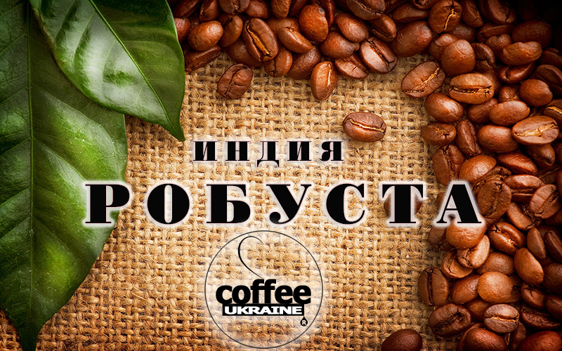 Кофе натуральный РОБУСТА зерно сорт "ЧЕРРИ" Индия