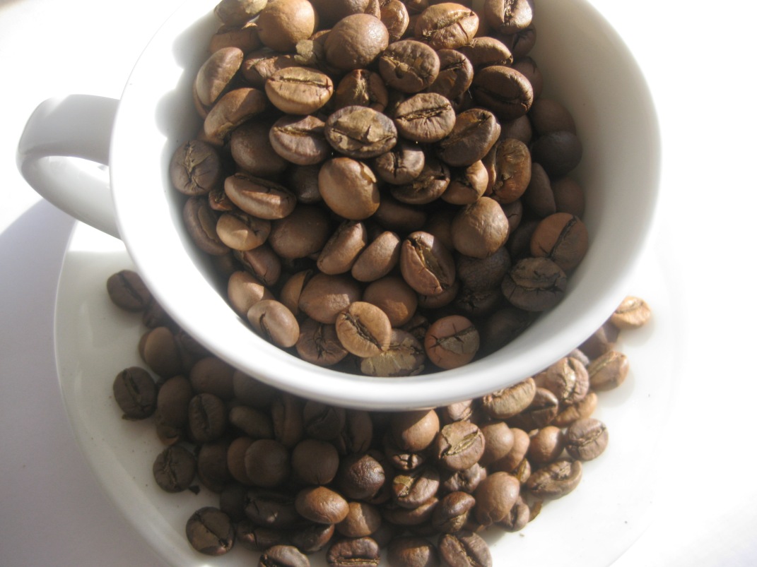 Кофе натуральный РОБУСТА зерно сорт "ЧЕРРИ" Индия свежеобжаренный